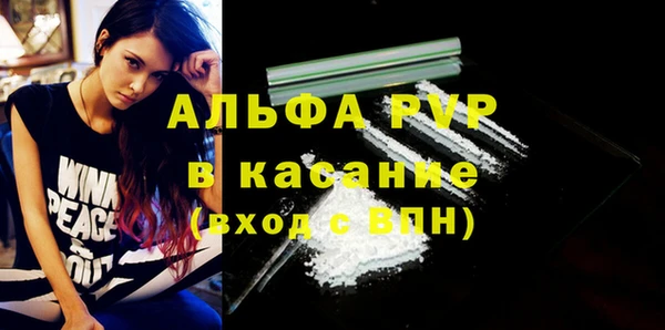 МДПВ Бородино