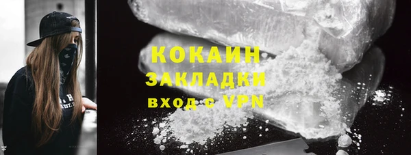 МДПВ Бородино