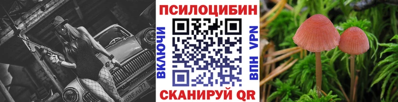 Галлюциногенные грибы Psilocybe Певек